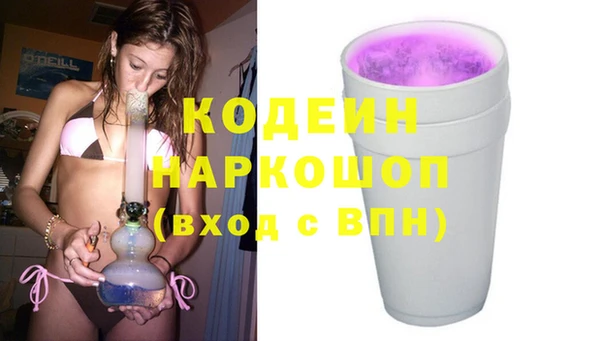 индика Арсеньев