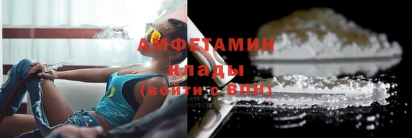 индика Арсеньев