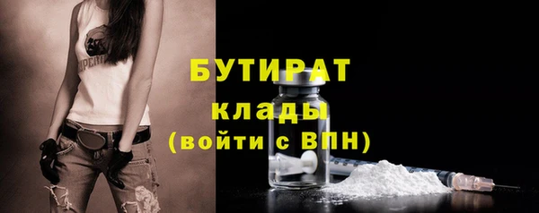 индика Арсеньев