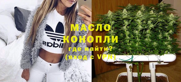 индика Арсеньев