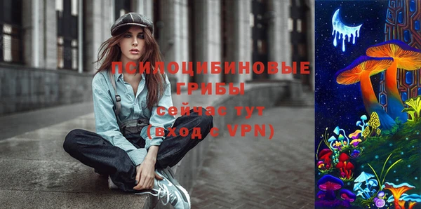 индика Арсеньев