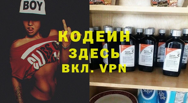 индика Арсеньев