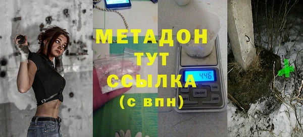 индика Арсеньев