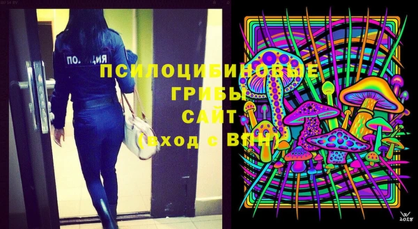 индика Арсеньев