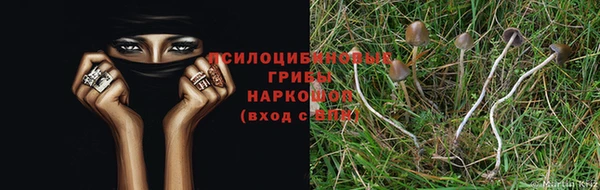 герыч Аркадак