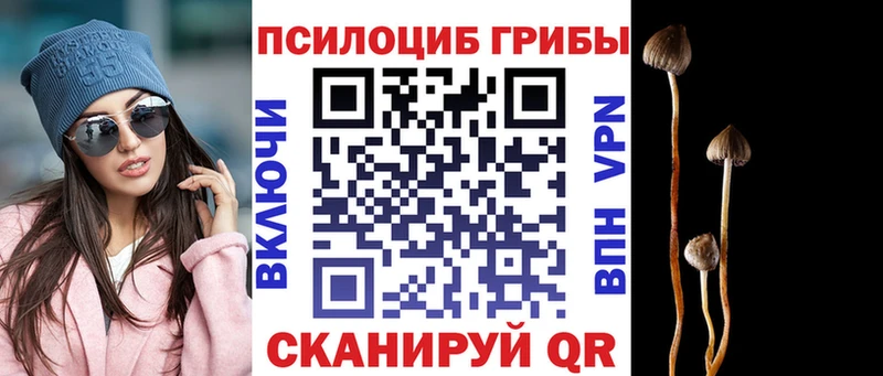 кракен как войти  где купить наркотик  даркнет официальный сайт  Псилоцибиновые грибы прущие грибы  Волгоград 